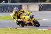Middle Group Yellow Bikes